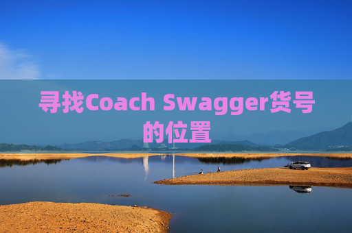 寻找Coach Swagger货号的位置